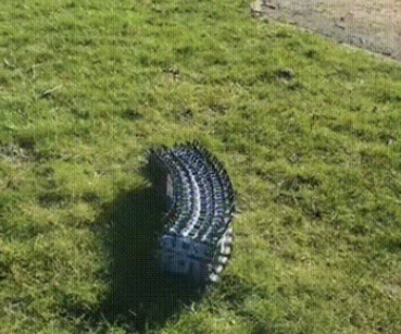 豪猪+千足虫合体！意大利团队打造“柔骨”机器人，3D打印一体成型，体重暴降600g