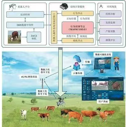 放牧机器人“慧眼识牛”