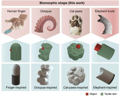 登Science合作期刊，这个触觉传感模拟器SimTac，让仿生机器人设计周期大幅缩短