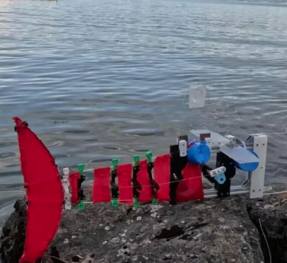 可伸缩仿生机器人鱼ScaFi亮相：靠身体摆动静默前行 适配不同水域探索需求